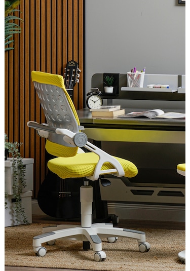Creo Mobili Yükseklik Ve Sırt Ayarlı Sirius Çalışma Sandalyesi Ofis Ve Bilgisayar Koltuğu Sarı/sarı Gri