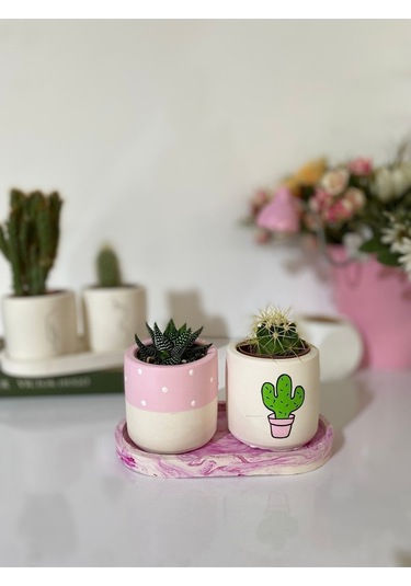Tabaklı Pembe Kaktüs Desenli Saksı Seti