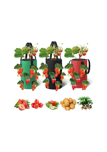 3 Galon Topsy Turvy Domates Ekici, 12 Delikli Asma Çilek Ekici, Nefes Alabilen Çilek Kumaş Sebzeler İçin Çantalar Yetiştirin 3 Paket