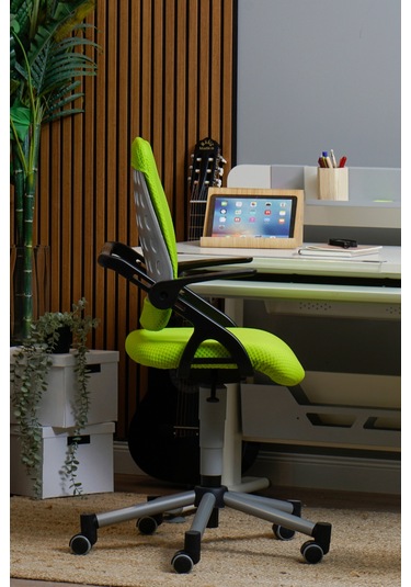 Creo Mobili Yükseklik Ayarlı Vega Plus Çalışma Sandalyesi, Ofis Ve Bilgisayar Koltuğu Yeşil/yeşil Gri