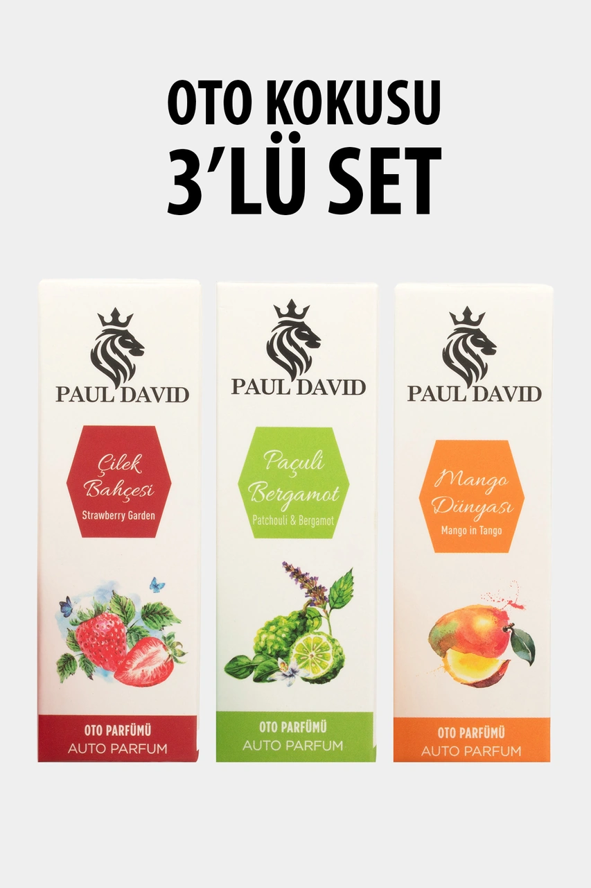 Dekoratif Araç Oto Kokusu 3 Lü Set Mango-çilek-paçuli