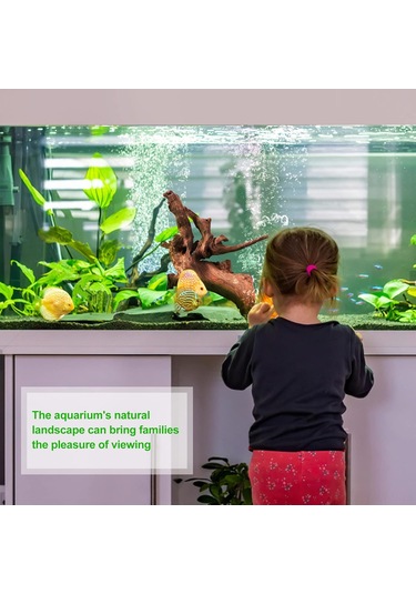 Neevoyu 25-30cm Doğal Akarsu Odunu, Akvaryum Dekorasyonu, Sürekli Kullanım, Yaratıcı Peyzaj, Hayvan Barınma, Ev Bahçe Dekoru Tek Parça