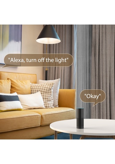 Teltree Koogeek Sa-p202 Akıllı Prizi 2'li Paket - Uzak Kumanda, Zamanlama Ve Ses Kontrolü Alexa/google Home Uyumlu - Abd Standartı - 100-240v