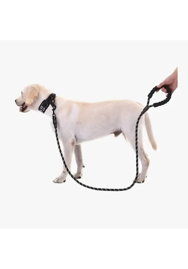 Köpekler İçin Reflektörlü Halat Gezdirme Tasması