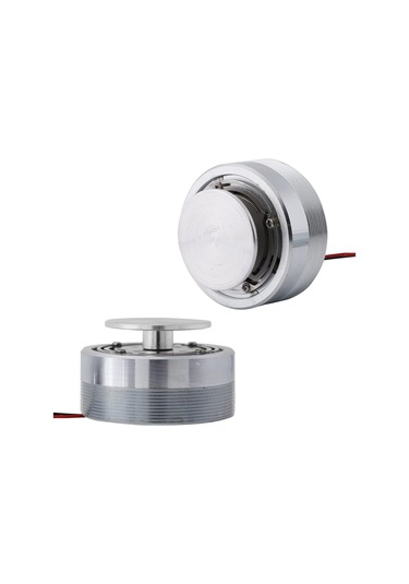 Rezonans Hoparlör, 50 Mm 2 İnç Tüm Frekans Rezonans Hoparlör Titreşimi Ekipman İçin Güçlü Bas Lowerspeaker 4ω 25w