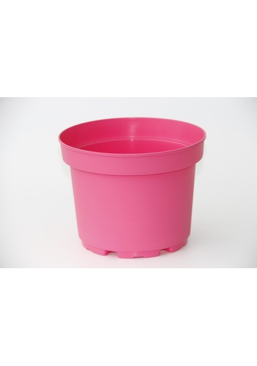 Rengarenk Saksı Seti - 5 Renk 10 Saksı