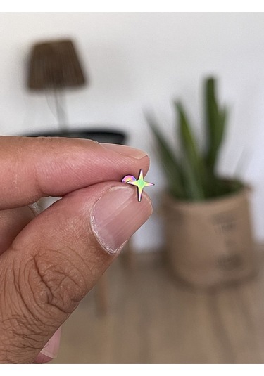 316 L Cerrahi Çelik Tragus Helix Kıkırdak Conch Minimal Kutup Yıldızı Piercing Rose