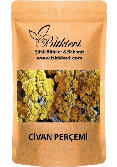 Bitkievi Civan Perçemi 100 G