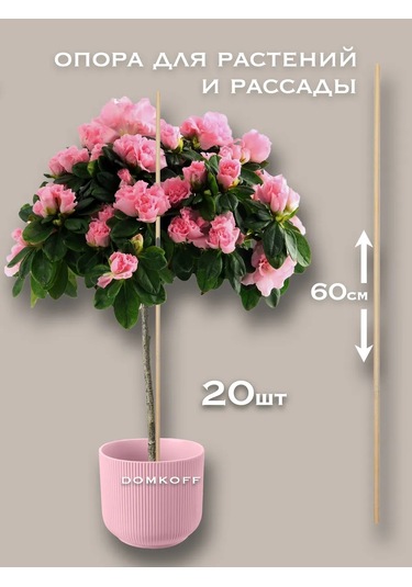 Domkoff İç Ve Bahçe Bitkileri İçin Destekler Bambu 60 Cm 20 Adet 243857952