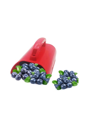 Suntek Lingonberries Için Metal Taraklı Kırmızı Meyve