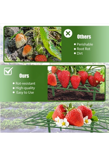 Hangfox 3 Adet Yeşil Plastik Çilek Tutucu, Bitki Büyüme Desteği, Meyve Çürümünü Önleyen Bahçe/çiftlik Ekipmanı