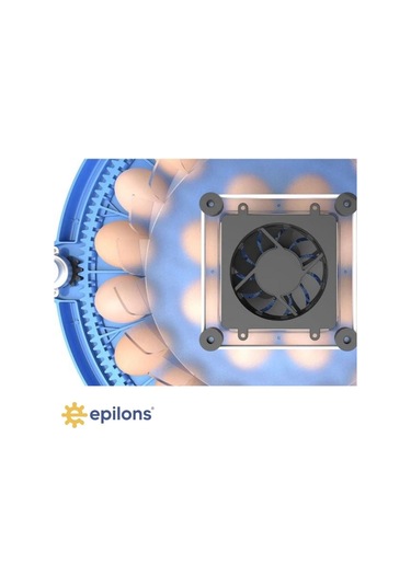 80 Yumurta Kapasiteli Otomatik Çiftlik Kuluçka Makinesi : Yumurta, Bıldırcın, Civciv Ve Kanatlılar İ