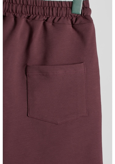 Terapi Men Erkek Bordo Basic Regular Fit Şort & Bermuda Bordo