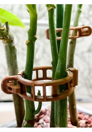 Bitki Klipsi 23mm Kahverengi 500 Lü