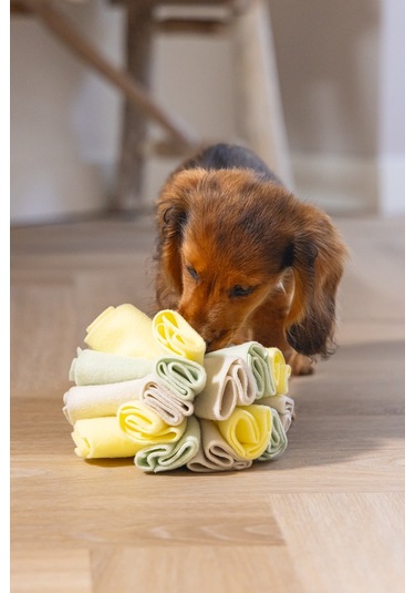 Beeztees Köpek Ödül Saklama Oyuncağı, Top, Polar, Gri/yeşil, 13cm