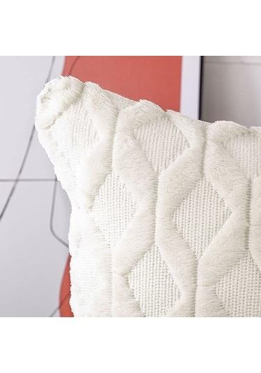 Neevoyu 2 Adet Yumuşak Yünlü Kadife Kılıf Seti - 45x45 Cm, Lüks Tarz, Gizli Reşen, Sandalye/yatak Odası, Bej Beige