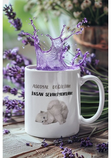 Asosyal Değilim İnsan Sevmiyorum-2-kedi Baskılı Hediyelik Eğlenceli Sevimli Beyaz Kupa Bardak