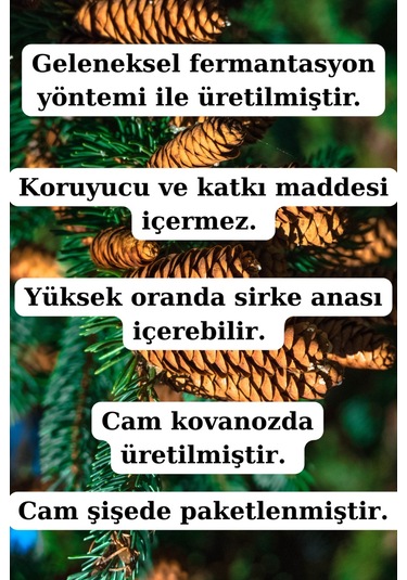 Çam Kozalağı Sirkesi Ve Alıç Sirkesi 250 Ml + 250 Ml - Doğal Fermente