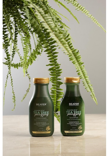 Beaver Tea Tree Shampoo ( Çay Ağacı Şampuanı) 350ml