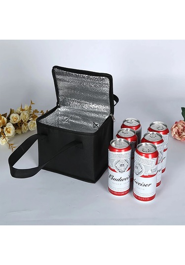 Isı Yalıtımlı Soğutucu Çantalar Kırmızı Çok Renkli