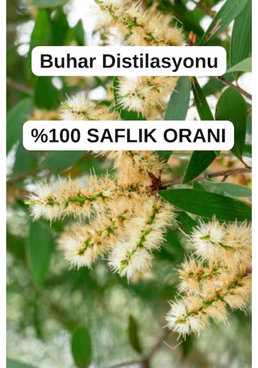 %100 Saf Nioli Uçucu Yağ - Seyreltilmemiş Niaouli Yağı 3 X 10 Ml 20 ML
