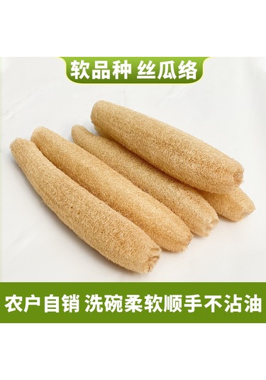 Hangfox Ev Kullanıma Ideal 30-39 Cm 3 Adet Doğal Patates Kabağı, Fırça Ve Yıkama Bezi İçin Dayanıklı Ve Pratik Kullanım Haki