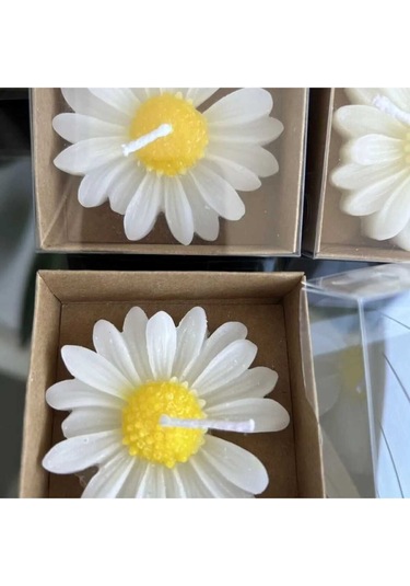 Bernamiofficial Offcial 24 Adet Papatya Mum Hediyelik Nişan, Nikah, Söz, Doğumgünü, Doğum