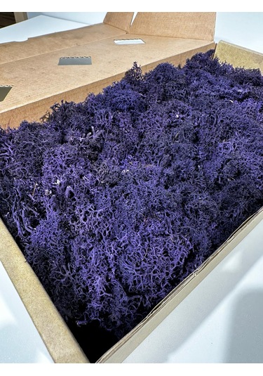 Reindermoss Şoklanmış Norveç Yosunu Terarium Yosunu Mor 5 Kg.