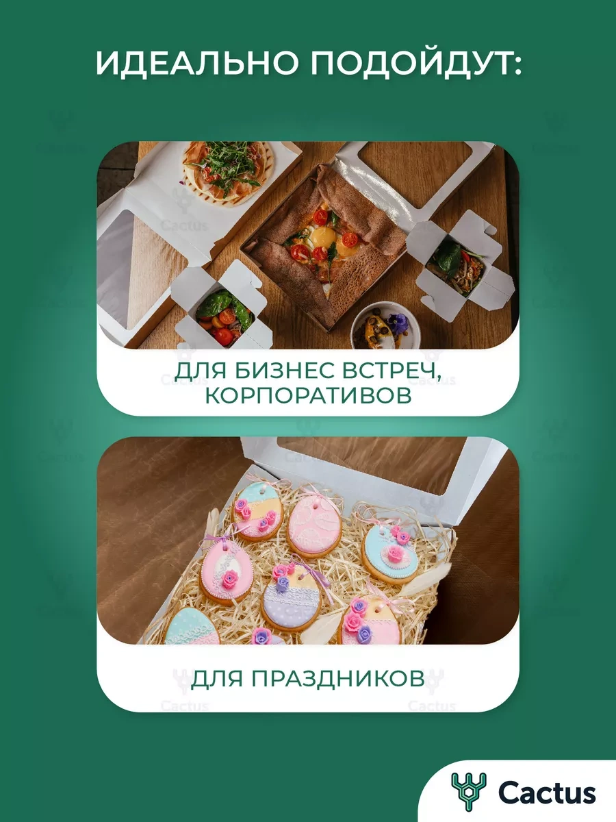 Cactus Kraft Pencereli Paketleme İle Hediye Kutusu 171153405