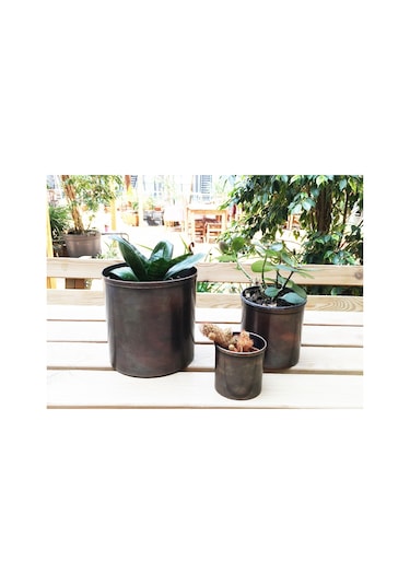 Shark Anatolia Bahar Saksı 3'lü Takım