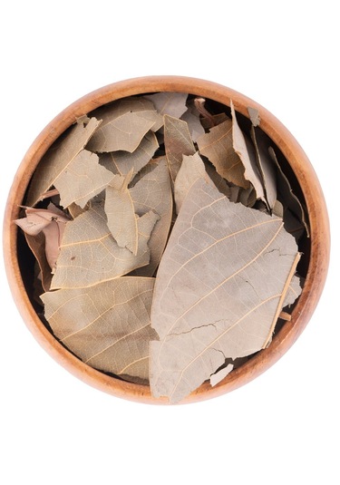 Avokado Yaprağı 100gr Taze Ve Kurutulmuş