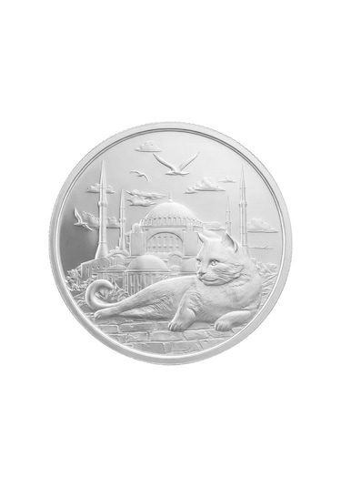 Agakulche İstanbul Kedisi Gümüş Sikke Coin