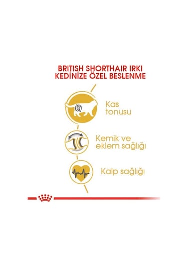 British Shorthair Yetişkin Kedi Maması 2 Kg 2 Adet Pouch Hediyeli