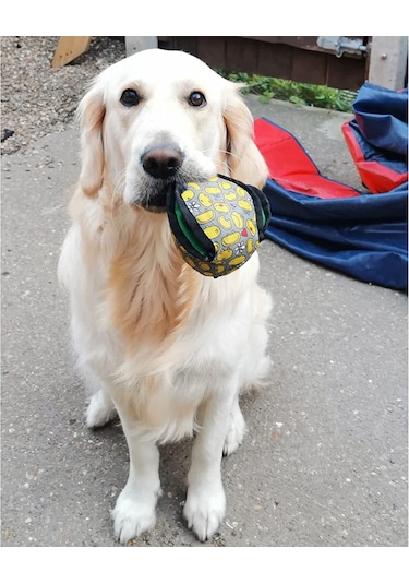 Havhav Lotus İnteraktif Mama Saklamalı Köpek Oyun Topu 11 CM