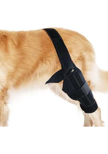 Homyl Köpek Bacak Desteği Esnek Destek Bandajları Malzemeleri