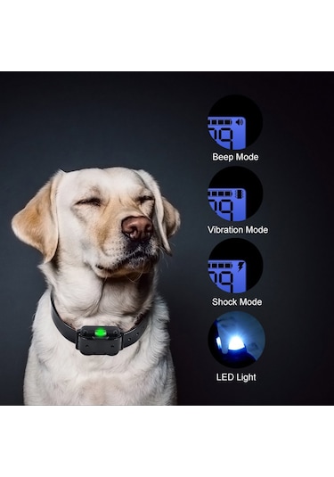 Ip67 Su Geçirmez Şarj Edilebilir Köpek Eğitim Tasması Otomatik Elektrikli Şok Köpek Tasması Evcil Hayvan Tasması Havlama Durdurucu Otomatik Köpek Tasması Köpek Eğitimi