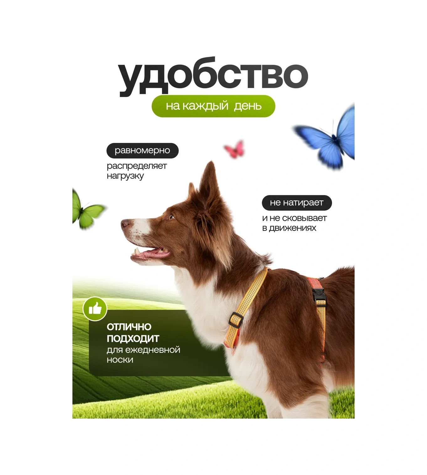 Petfort Köpekler İçin Anatomik Tasma 431183339