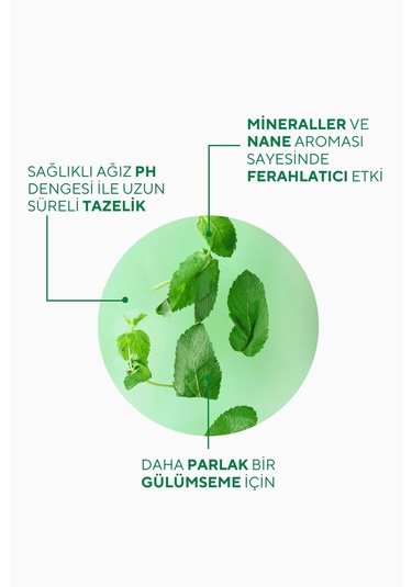 Fresh Mint Ferahlatıcı Etkili Diş Macunu 75 Gr Ağız Kokusu Önleyici