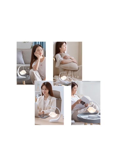 Reedark Bebek Odası İçin Müzikli Kuş Şeklinde Gece Lambası, 1w, Şarj Edilebilir Çok Renkli