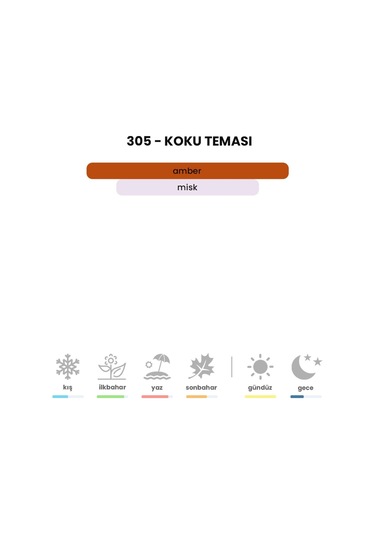 BEX 305 Unisex Parfüm EDP 50 ML