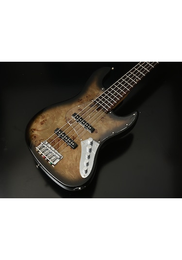 Bacchus Wjb5-bp/act Black Burst