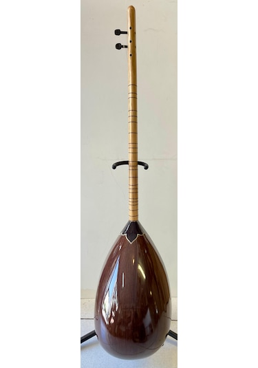 Solak Elektro Bağlama (Leslili)