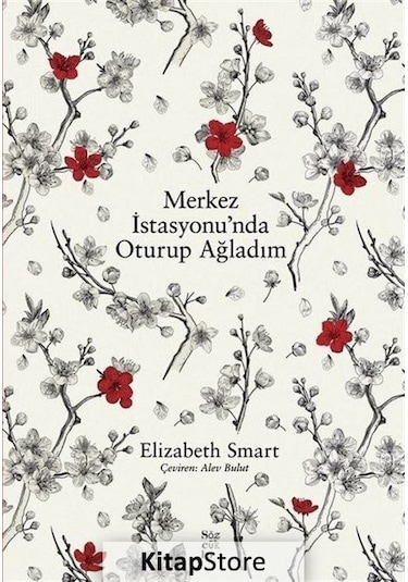 Merkez İstasyonunda Oturup Ağladım - Elizabeth Smart - Sözcükler