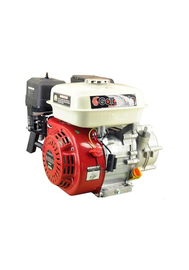 Goldmoto Gm200G Benzinli Motor Gokart 6.5 Hp İpli