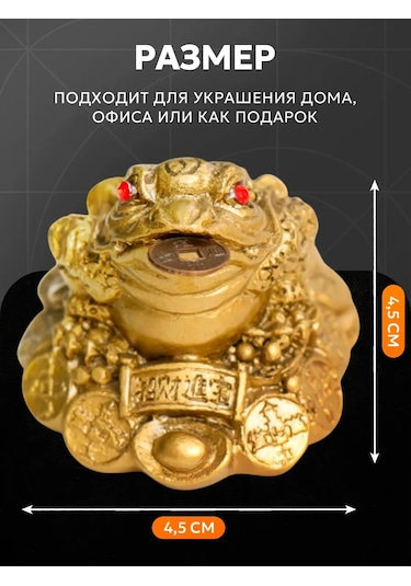 Simalend Para Kertenkeleleri 171112493