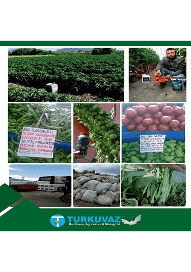 1 L Turkuvaz Bat Power Organik Sıvı Yarasa Gübresi