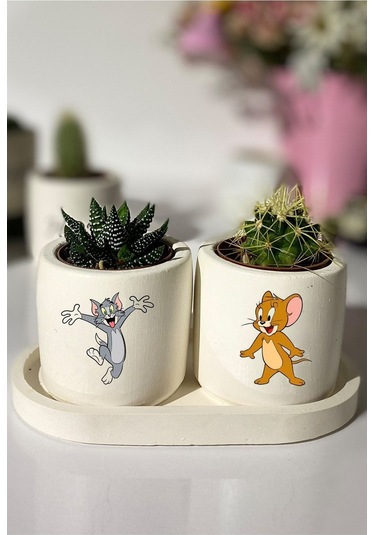 Tom Ve Jerry Baskılı Minimal Sukulent Ya Da Kaktüs Saksı Seti Hediyelik Kalemlik