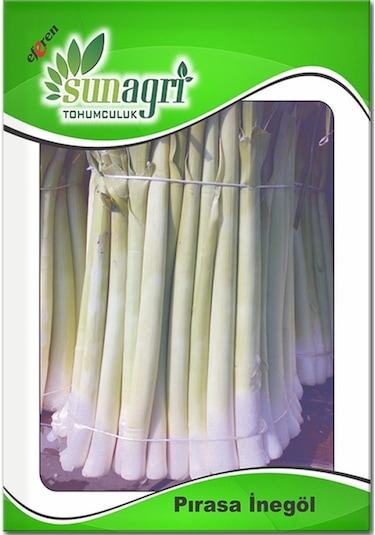 Inegöl Pırasa Tohumu