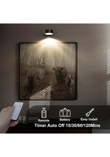 Reedark 3'lü Manyetik Sanat Lambası - 3 Renk Seçeneği, Parlaklık Ayarlı, Uzaktan Kumandalı, Pilli Tavan/wall Spotlights Siyah