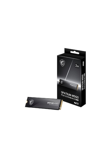 MSI Spatium M560 2 TB (10300/8700MB/S) M.2 2280 Pcıe 5.0 Nvme SSD
